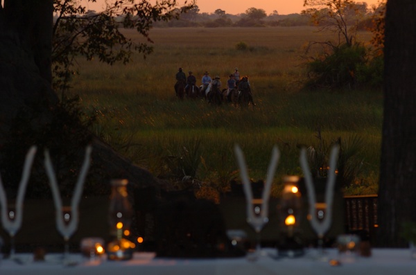 Okavango Delta Dinner